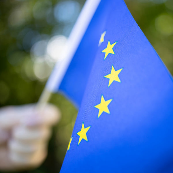 EU hand flag